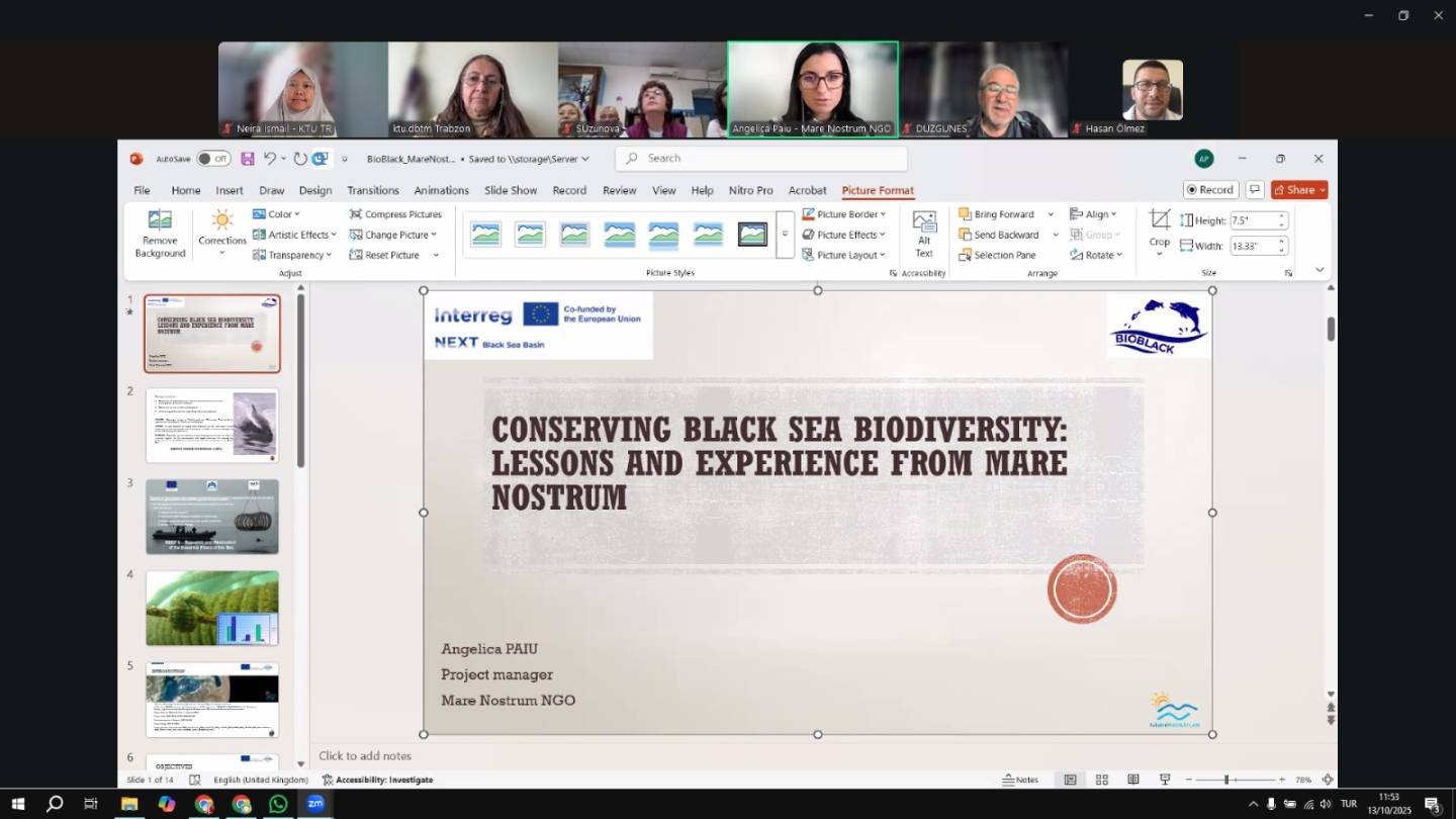 Mare Nostrum (RO) sunumu