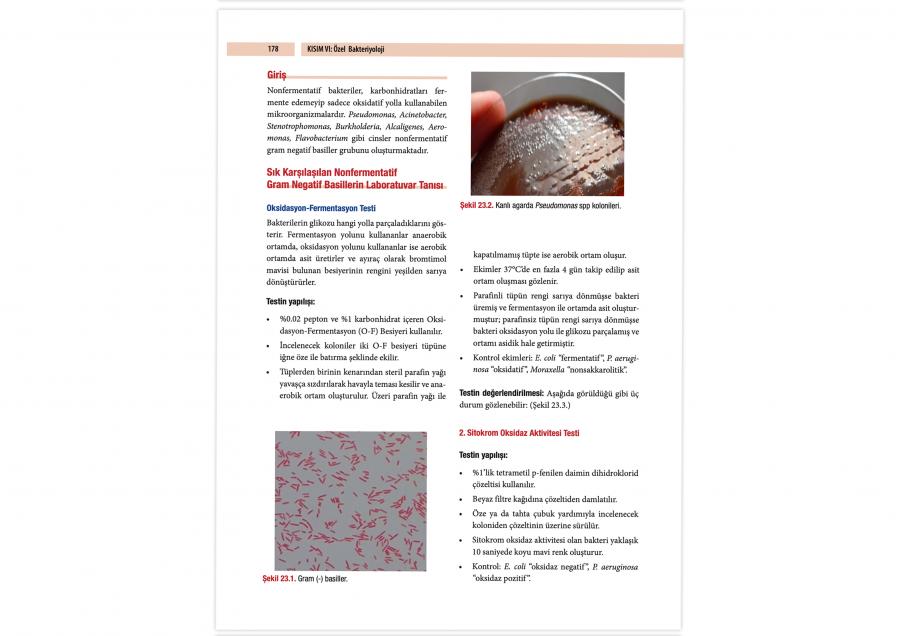 Tıbbi Mikrobiyoloji Laboratuvar Kitabı