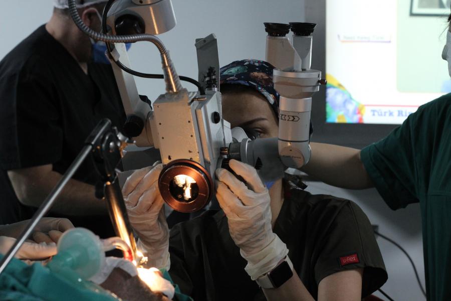 Doç. Dr. H. Bengü Çobanoğlu