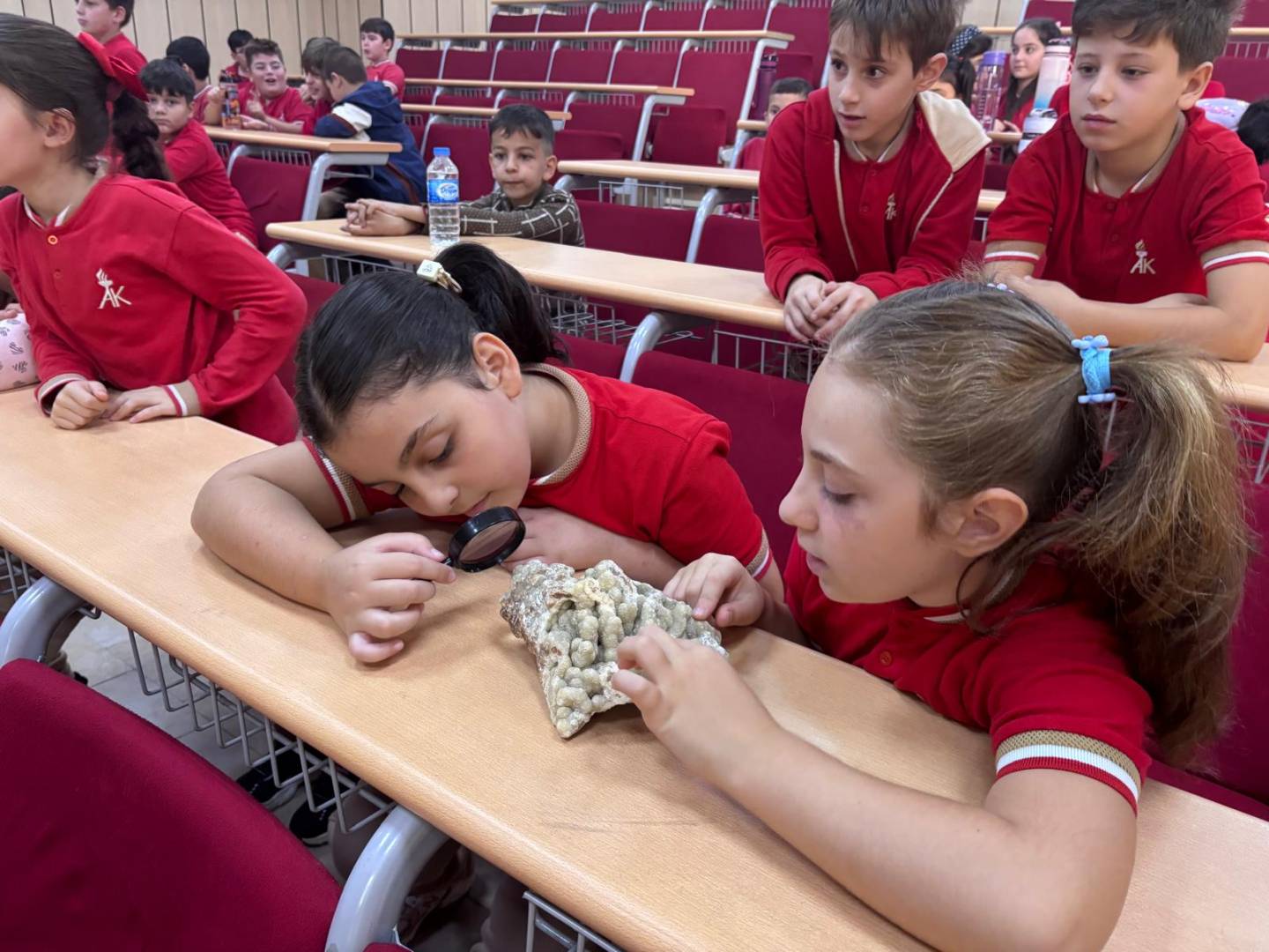 Ayfer Karakullukçu İO