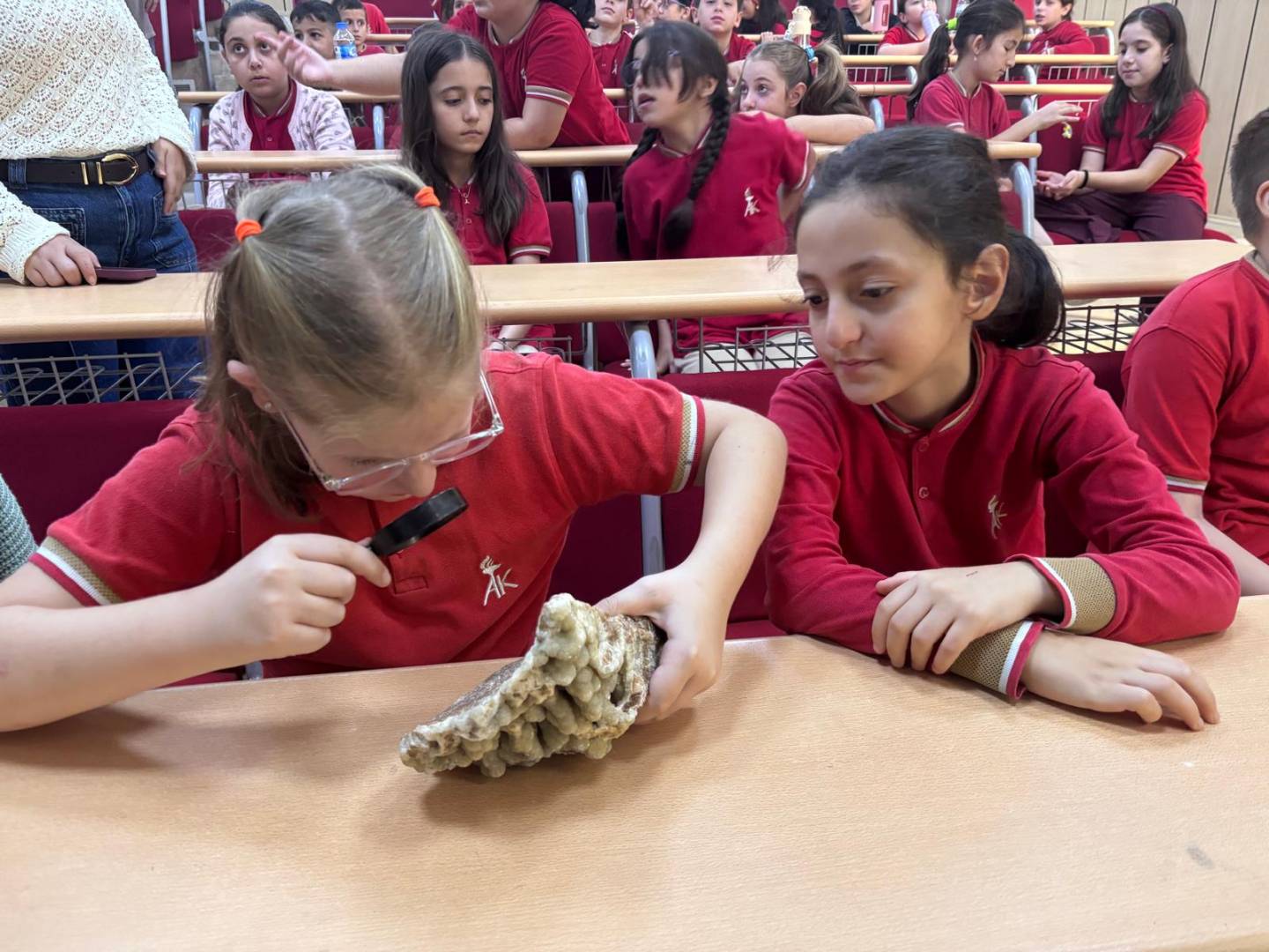 Ayfer Karakullukçu İO