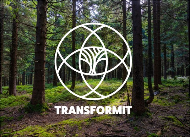 Sürdürülebilirlik proje görseli