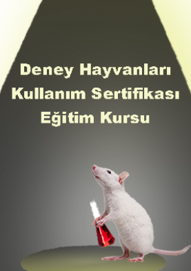 Deney Hayvanları Kullanım Sertifikası Eğitim Kursu 