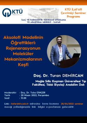 Aksolotl Modelinin Öğrettikleri: Rejenarasyonun Moleküler Mekanizmalarının Keşfi