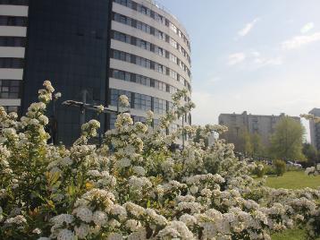 Farabi'ye Bahar Geldi