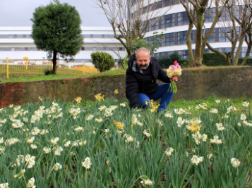 Farabi Hastanesi'nde Nergis Mevsimi