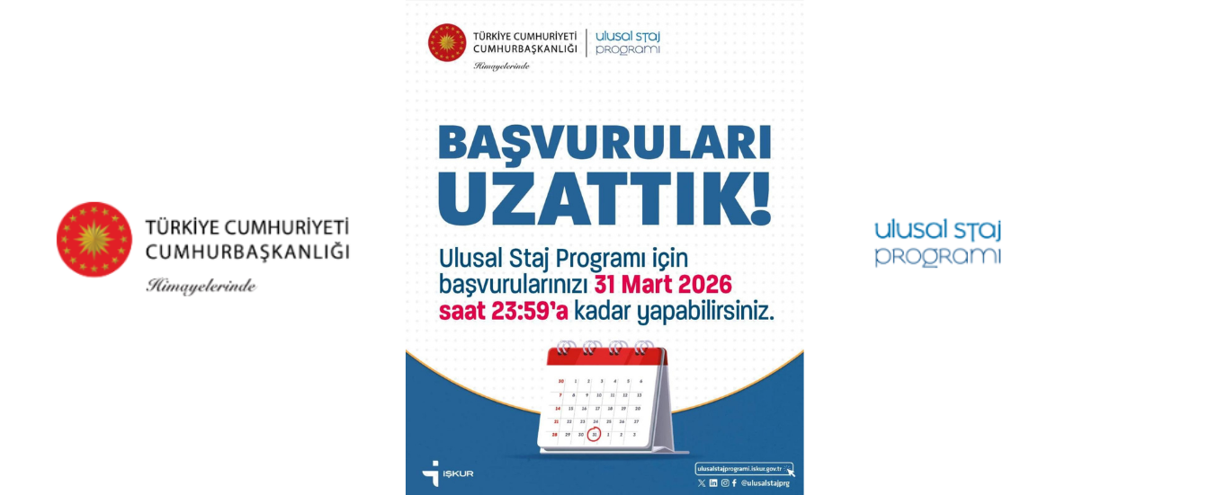 Ulusal Staj Programı